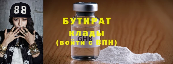 стаф Тутаев