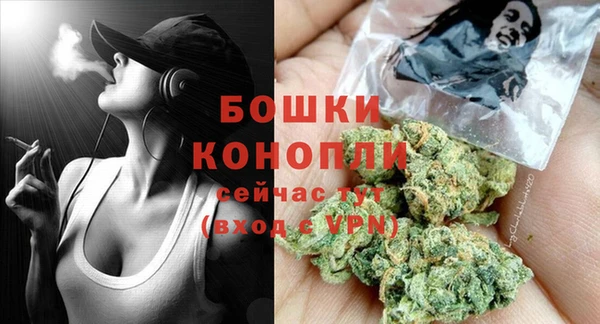 Альфа ПВП Гусев