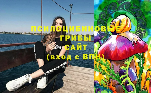 Альфа ПВП Гусев