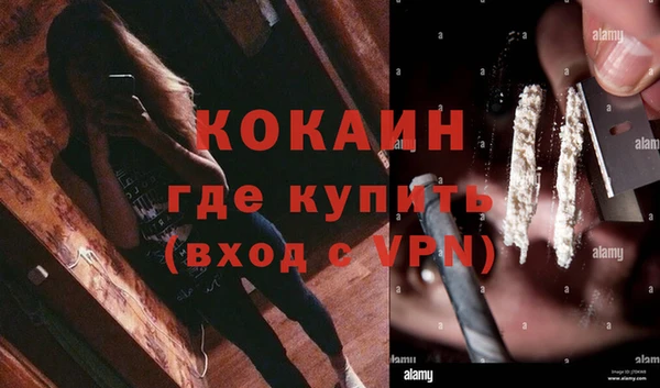 Альфа ПВП Гусев