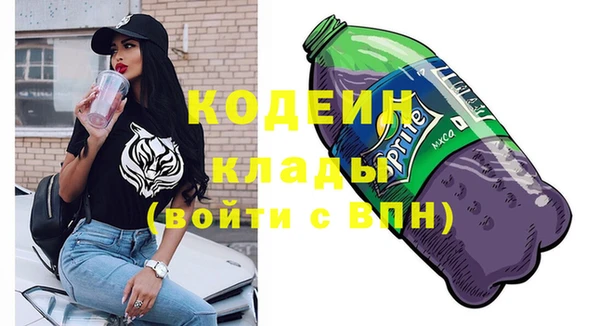 Альфа ПВП Гусев
