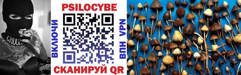 Галлюциногенные грибы MAGIC MUSHROOMS  Новодвинск 